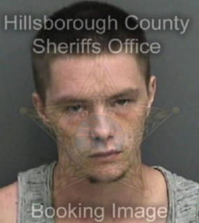 Robinson Levi - Hillsborough County, Florida 