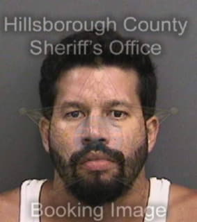 Velez Alejandro - Hillsborough County, Florida 