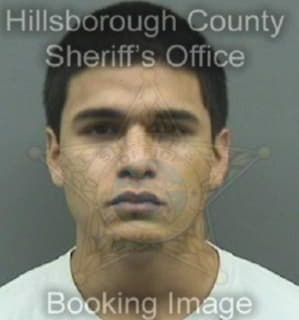 Martinez Alfredo - Hillsborough County, Florida 