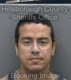 Ramos Christopher - Hillsborough County, Florida 