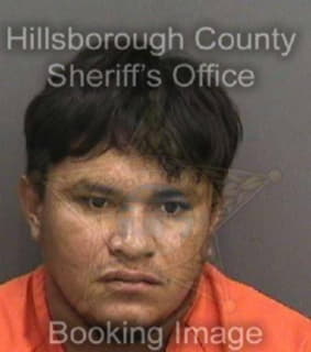 Molina Edwin - Hillsborough County, Florida 