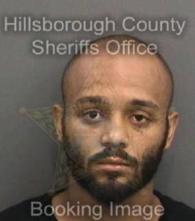 Middleton Michael - Hillsborough County, Florida 