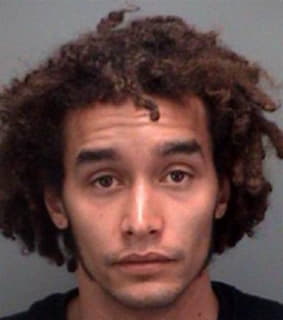 Johnson Christopher - Pinellas County, Florida 