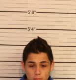Garcia David - Shelby County, Tennessee 