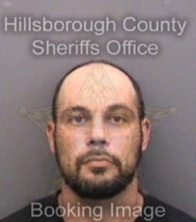 Dominguez Fernando - Hillsborough County, Florida 