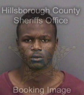 Lewis Benzel - Hillsborough County, Florida 