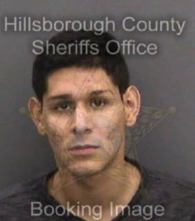 Celis Bruce - Hillsborough County, Florida 