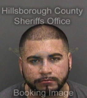 Aleman Jonathan - Hillsborough County, Florida 