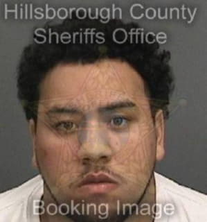 Rodriguez Joshua - Hillsborough County, Florida 