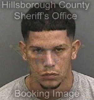 Rivera-Castro Luis - Hillsborough County, Florida 