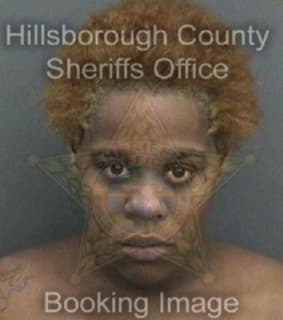 Lee Precious - Hillsborough County, Florida 