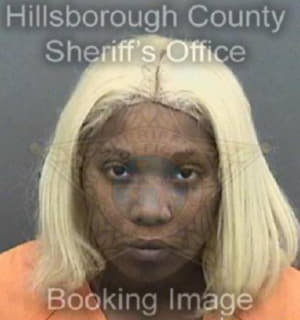 Mcdonald Stephany - Hillsborough County, Florida 