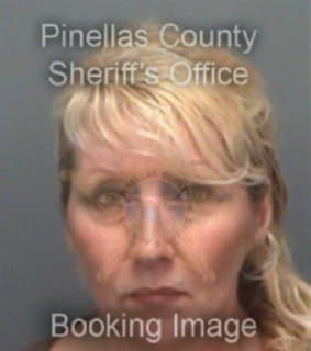 Steeneck Cheryl - Pinellas County, Florida 