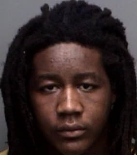 Mathias Darryl - Pinellas County, Florida 