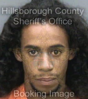 Davis Jevin - Hillsborough County, Florida 