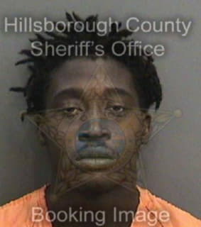 Williams Korey - Hillsborough County, Florida 