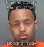 BR Anthony - Pinellas County, Florida 