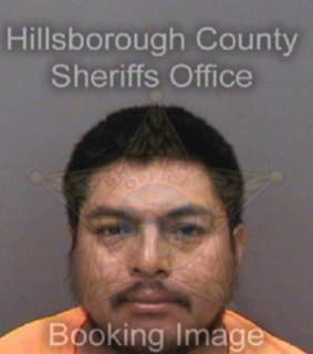 Rojas Joel - Hillsborough County, Florida 