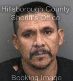 Martineztrejo Juan - Hillsborough County, Florida 