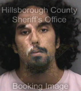 Ramtahalsingh Michael - Hillsborough County, Florida 