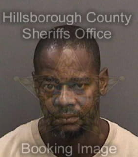 Williams Rodney - Hillsborough County, Florida 