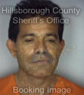 Dorantes Jorge - Hillsborough County, Florida 