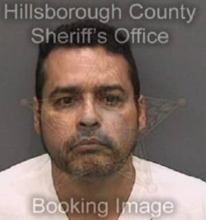 Nieves Pedro - Hillsborough County, Florida 