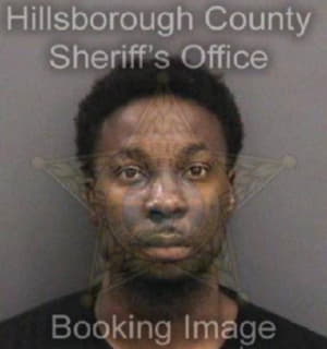 Andrews Adonijah - Hillsborough County, Florida 