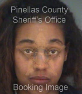 Wysong Brittany - Pinellas County, Florida 