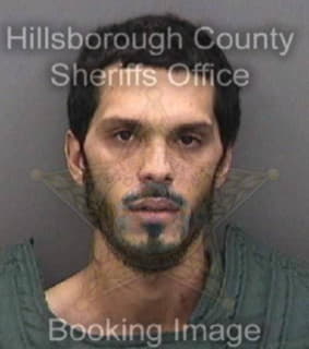 Alicea Evan - Hillsborough County, Florida 