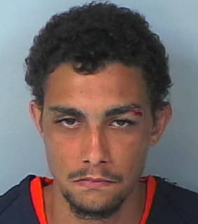 Grady James - Hernando County, Florida 