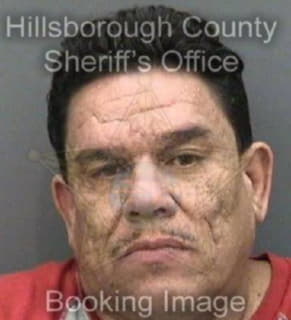 Millan Luis - Hillsborough County, Florida 