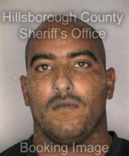 Davila Luis - Hillsborough County, Florida 