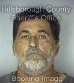 Rodriguez Felix - Hillsborough County, Florida 