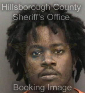 Childs Malik - Hillsborough County, Florida 