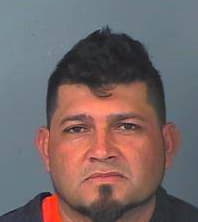 Rodriguez Rene - Hernando County, Florida 