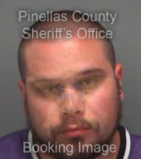 Wilshire Robert - Pinellas County, Florida 