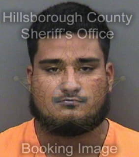 Correagaleano Sergio - Hillsborough County, Florida 