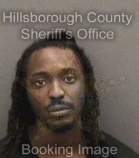 Robertson Demetrios - Hillsborough County, Florida 