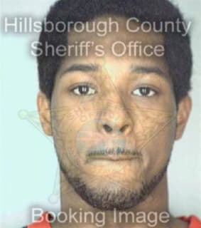 Davis Will - Hillsborough County, Florida 