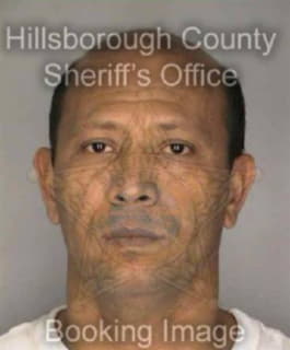 Mendez Anibal - Hillsborough County, Florida 