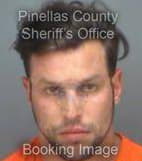 Gray Chad - Pinellas County, Florida 