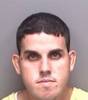 Melendez Hector - Pinellas County, Florida 