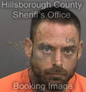 Baynard Michael - Hillsborough County, Florida 