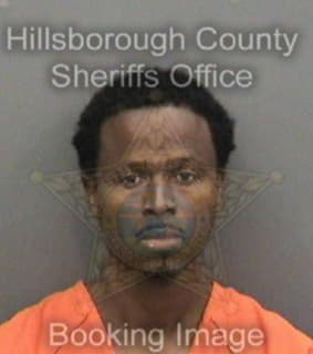 Mills Richard - Hillsborough County, Florida 