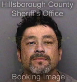 Mejia Sergio - Hillsborough County, Florida 