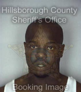 Williams Desmond - Hillsborough County, Florida 