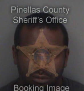 Clark George - Pinellas County, Florida 