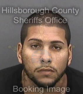 Castronunez Jose - Hillsborough County, Florida 