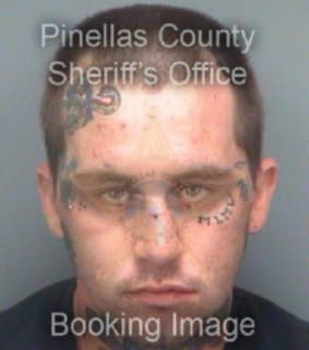 Morgan Nicholas - Pinellas County, Florida 